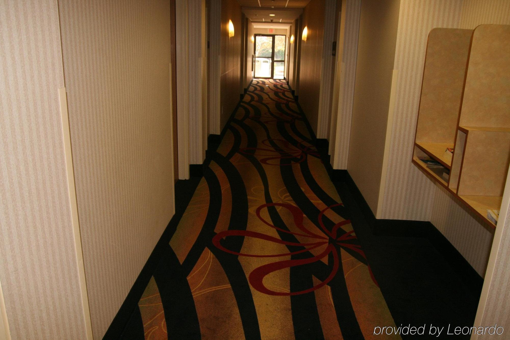 West Chase Holiday Inn Express Hotel & Suites Tampa-Anderson Road-Veterans Exp By Ihg מראה פנימי תמונה